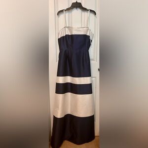 Gorgeous Adrianna Papell floor length dress